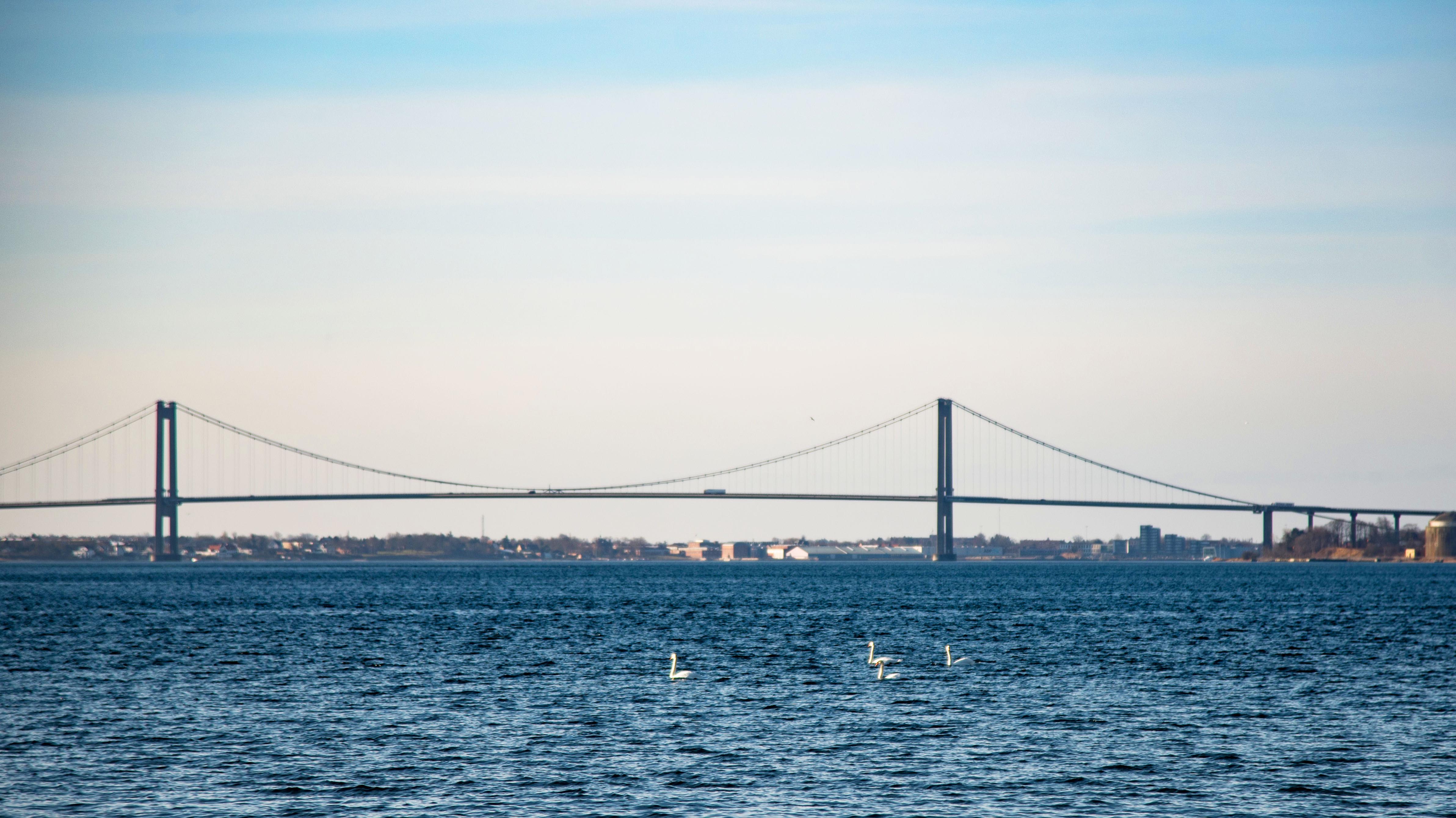 View of the Little Belt Bridge from Kanalbyen.  Photo credit: Karin Lauersen